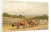 Oxen Ploughing a Downland Field by Robert Hills