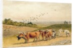 Oxen Ploughing a Downland Field by Robert Hills