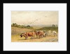 Oxen Ploughing a Downland Field by Robert Hills