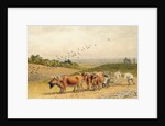 Oxen Ploughing a Downland Field by Robert Hills