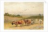 Oxen Ploughing a Downland Field by Robert Hills