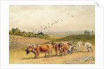 Oxen Ploughing a Downland Field by Robert Hills