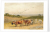 Oxen Ploughing a Downland Field by Robert Hills