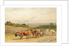 Oxen Ploughing a Downland Field by Robert Hills