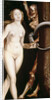 Eve, the Serpent and Death by Hans Baldung Grien