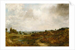 Hampstead Heath by John Constable