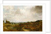 Hampstead Heath by John Constable