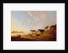 Cows near a River by Aelbert Cuyp