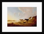 Cows near a River by Aelbert Cuyp