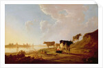 Cows near a River by Aelbert Cuyp