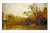 View in Painshill Park, Surrey by Thomas Creswick