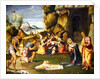 Adoration of the Shepherds by Benvenuto Tisi da Garofalo