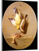 A Trompe L'Oeil of Dead Songbirds by Jean Joseph Xavier Bidauld