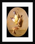 A Trompe L'Oeil of Dead Songbirds by Jean Joseph Xavier Bidauld