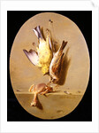 A Trompe L'Oeil of Dead Songbirds by Jean Joseph Xavier Bidauld
