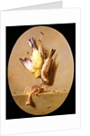 A Trompe L'Oeil of Dead Songbirds by Jean Joseph Xavier Bidauld