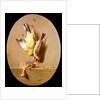A Trompe L'Oeil of Dead Songbirds by Jean Joseph Xavier Bidauld