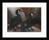 Green Cormorants, 1925 by Cedric Morris