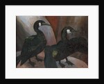 Green Cormorants, 1925 by Cedric Morris