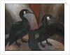 Green Cormorants, 1925 by Cedric Morris