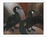 Green Cormorants, 1925 by Cedric Morris