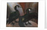 Green Cormorants, 1925 by Cedric Morris