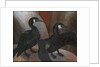Green Cormorants, 1925 by Cedric Morris