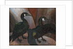 Green Cormorants, 1925 by Cedric Morris