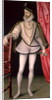 Portrait of Charles IX by Francois Clouet
