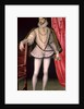 Portrait of Charles IX by Francois Clouet