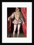 Portrait of Charles IX by Francois Clouet