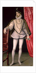 Portrait of Charles IX by Francois Clouet