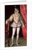 Portrait of Charles IX by Francois Clouet