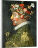 Spring by Giuseppe Arcimboldo