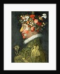 Spring by Giuseppe Arcimboldo