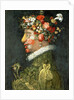 Spring by Giuseppe Arcimboldo