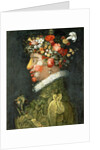 Spring by Giuseppe Arcimboldo