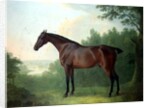 Marquis, a bay hunter in a landscape, 1811 by John Boultbee