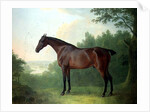 Marquis, a bay hunter in a landscape, 1811 by John Boultbee