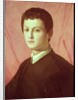 Portrait of a young man by Agnolo di Cosimo Bronzino
