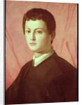 Portrait of a young man by Agnolo di Cosimo Bronzino