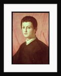 Portrait of a young man by Agnolo di Cosimo Bronzino