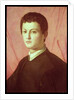 Portrait of a young man by Agnolo di Cosimo Bronzino