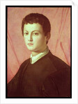 Portrait of a young man by Agnolo di Cosimo Bronzino