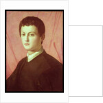 Portrait of a young man by Agnolo di Cosimo Bronzino