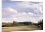 View towards the Rectory, East Bergholt, 1813 by John Constable