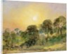 Trees on Hampstead Heath at Sunset by John Constable