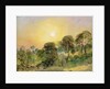 Trees on Hampstead Heath at Sunset by John Constable