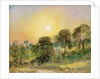 Trees on Hampstead Heath at Sunset by John Constable