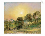 Trees on Hampstead Heath at Sunset by John Constable
